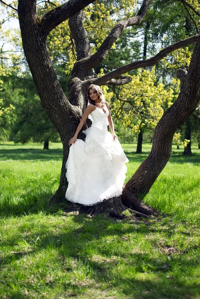 Hermosa joven novia apoyada contra un árbol en el parque — Foto de Stock