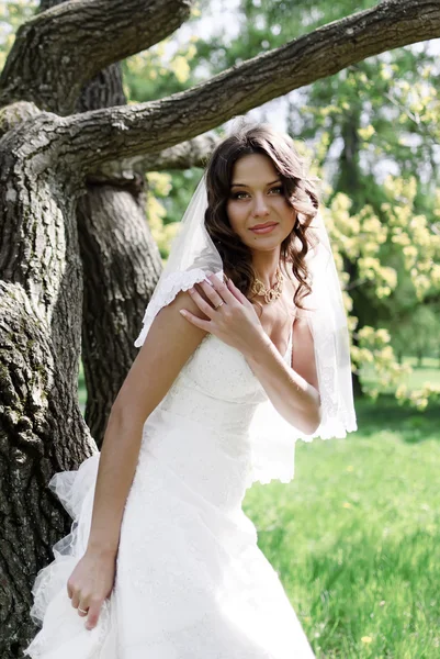 Atraktivní nevěsta stojí o stromy v parku — Stock fotografie