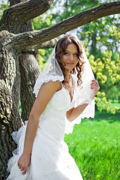 Atractiva novia se encuentra alrededor de los árboles en el parque — Foto de Stock