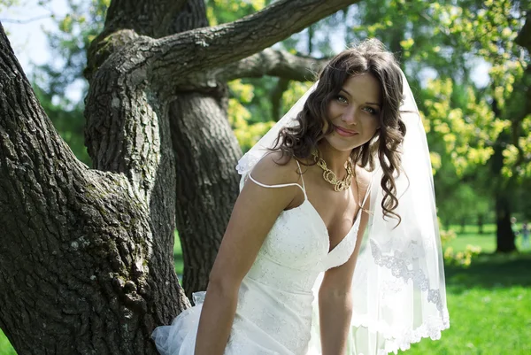 Attraente Sposa si erge sugli alberi nel parco — Foto Stock