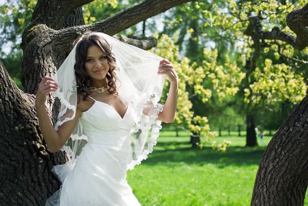 Atractiva novia se encuentra alrededor de los árboles en el parque — Foto de Stock