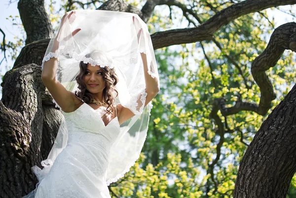 Attractive Bride stands about trees in the park — Stock Photo, Image