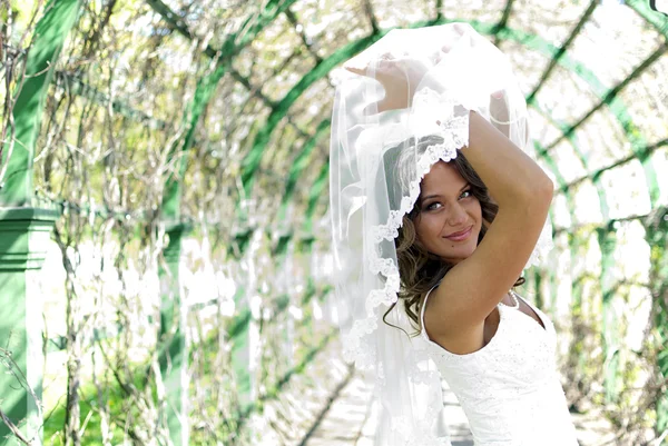 Jovem noiva bonito posando com um véu — Fotografia de Stock