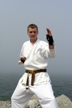 Karate on the shores of the misty sea clipart