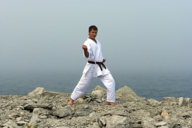Karate trains on the shores of the misty sea clipart
