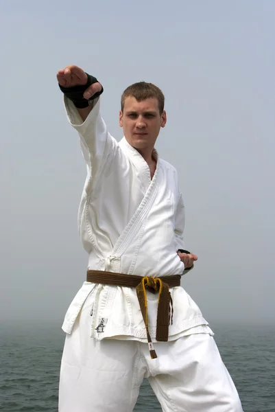Karate sulle rive del mare nebbioso — Foto Stock