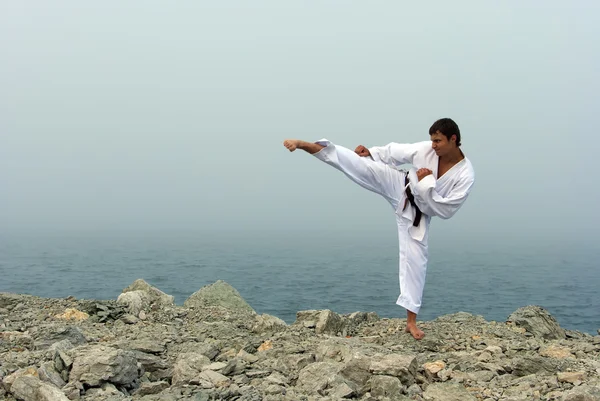Karate tåg på det dimmiga havet — Stockfoto