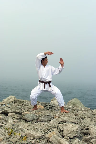 Karate-Züge am Ufer des nebligen Meeres — Stockfoto