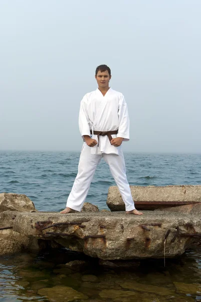 Karate-Züge am Ufer des nebligen Meeres — Stockfoto