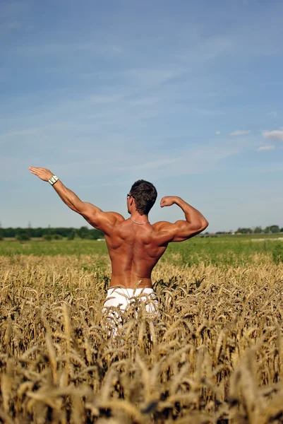 Bodybuilder standing waist-deep in the field — Stock Photo, Image