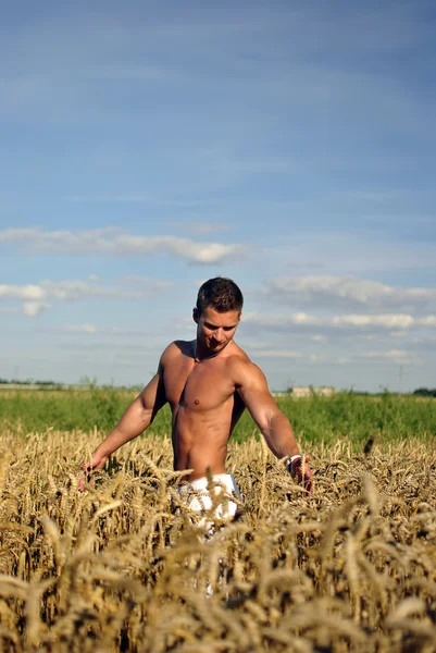 Bodybuilder stående midjan djupt i fältet — Stockfoto