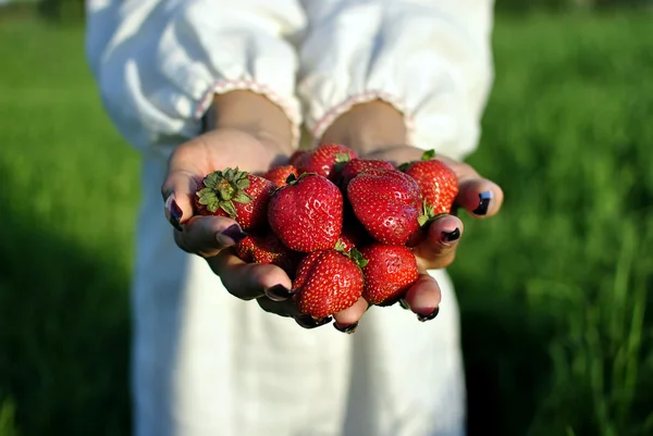 少数几个掌握在手中的草莓 — 图库照片
