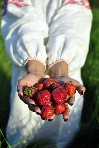 少数几个掌握在手中的草莓 — 图库照片