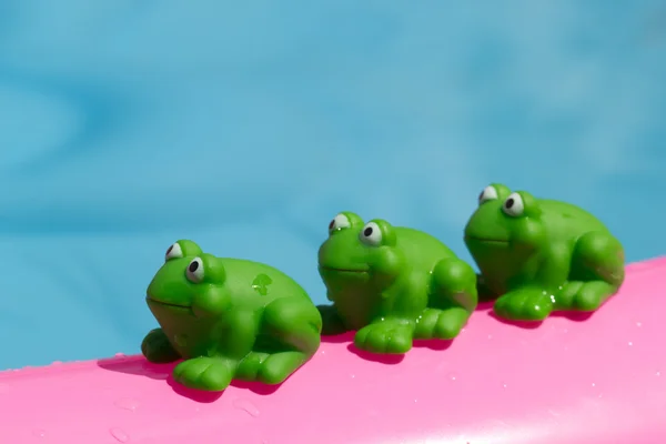 üzerinde bir şişme havuz oyuncak kurbağa