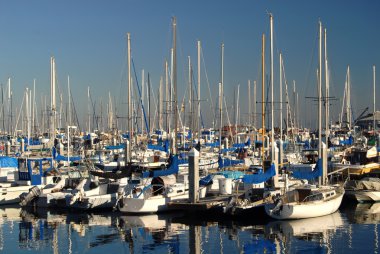 Marina in Monterey California clipart