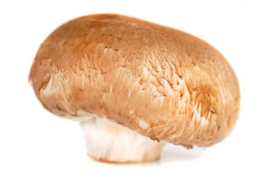 Crimini Mushroom clipart