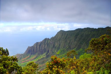 na pali kauai sahil hawaii