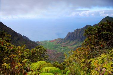 engebeli na pali kauai sahil hawaii