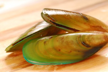 New Zealand green-lip mussels clipart