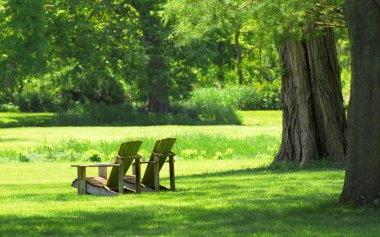 Adirondack chairs in a country setting clipart