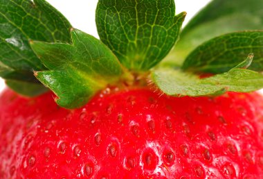 Close-up of a strawberry clipart