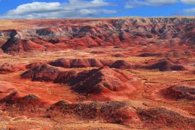 Painted Desert National Park clipart