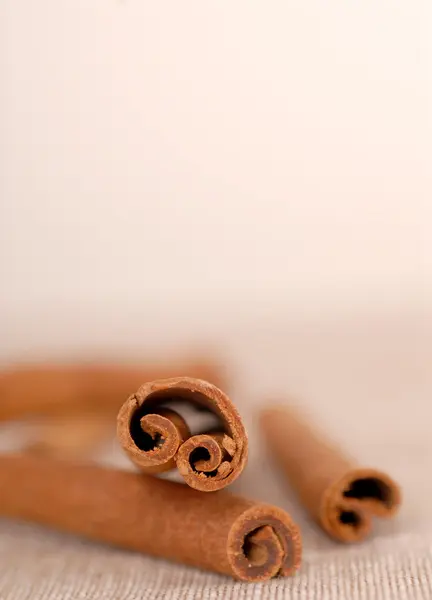 Several cinnamon sticks with a very shallow depth of field — Stock Photo, Image