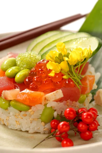 쌀과 야채와 참치의 아시아 전채 — 스톡 사진