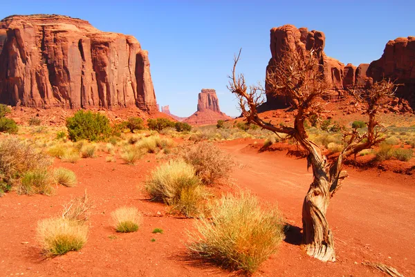 Large rock formations in the Navajo park Monument Valley — Stock Photo, Image
