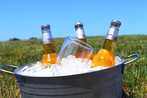 Bucket of beers on ice in a picnic setting — Stock Photo, Image