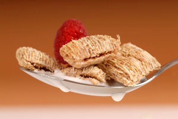 Whole wheat shredded cereal with raspberry — Stock Photo, Image