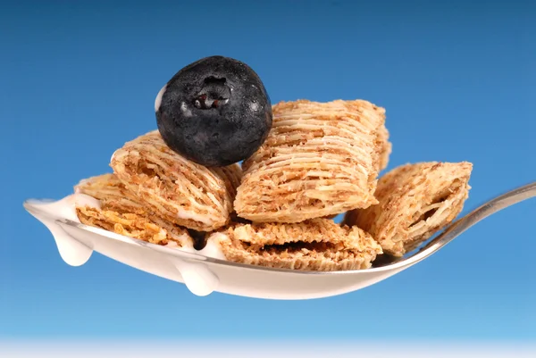 Spoon of shredded wheat cereal with blueberry — Stock Photo, Image
