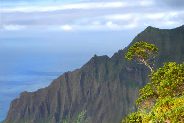 Скалы на побережье На Пали на Гавайях Кауаи — стоковое фото