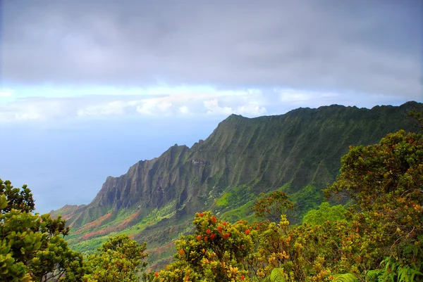Na pali kust van kauai Hawaï — Stockfoto