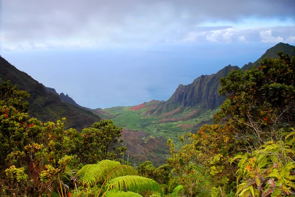 Крепкое побережье На Пали на Гавайях — стоковое фото
