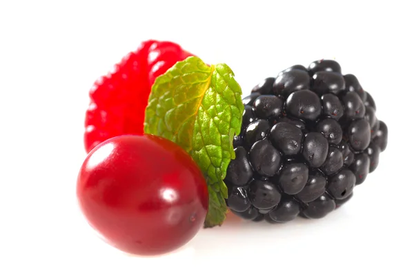 Amora, framboesa e cranberry com hortelã — Fotografia de Stock
