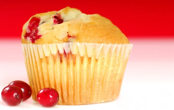 Cranberry muffin — Stock Photo, Image