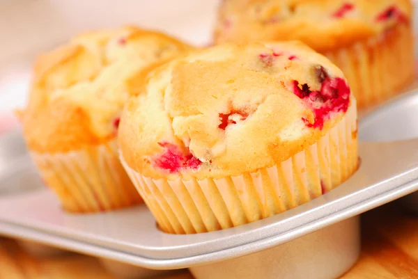 Cranberry muffins in muffin pan — Stock Photo, Image