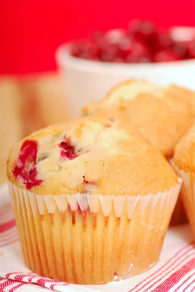 Muffin al mirtillo — Foto Stock