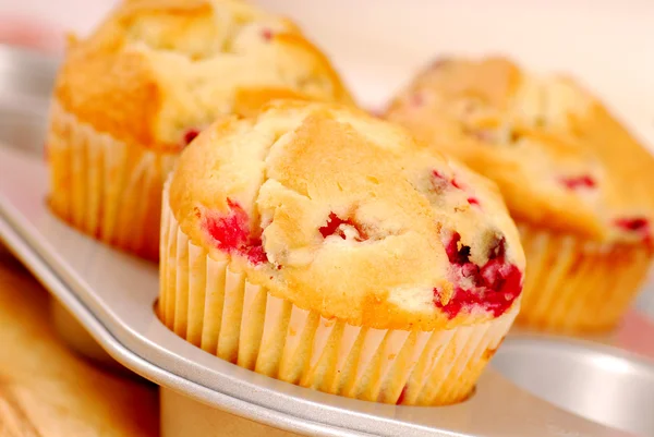 Freshly baked cranberry muffins — Stock Photo, Image