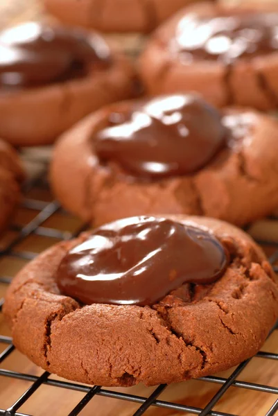 Cocao cookies with chocolate covered maraschino cherries — Stock Photo, Image