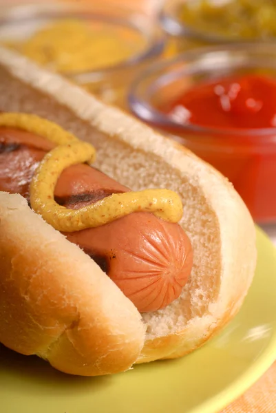 Hot dog avec condiments — Photo