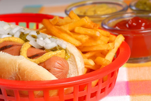 Hot Dog mit Pommes — Stockfoto