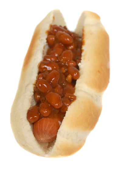 Cachorro chili — Fotografia de Stock