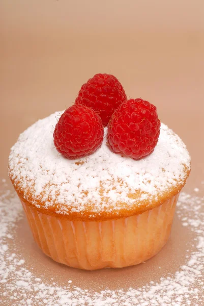 ラズベリーのミニカップ ケーキ — ストック写真