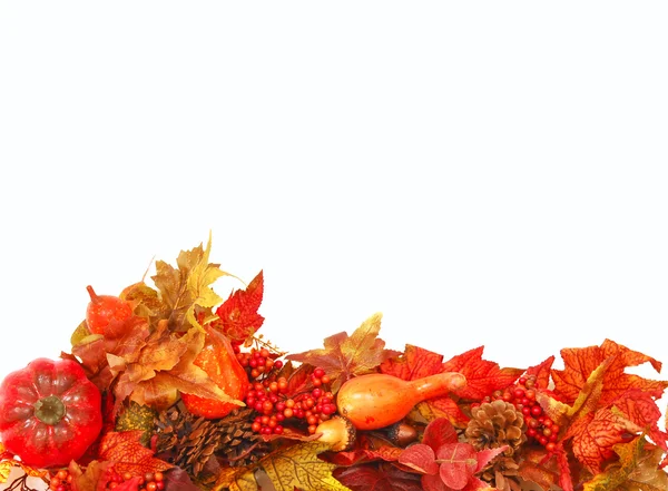 Herbst Laub Hintergrund — Stockfoto