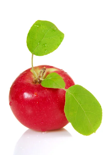 Свежее яблоко с листьями — стоковое фото