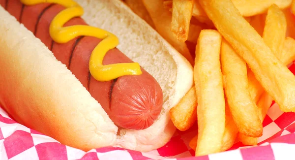 Hot Dog mit Pommes — Stockfoto