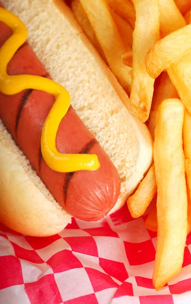 Hot dog s hranolky — Stock fotografie
