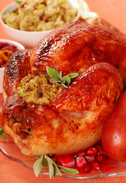 Roast turkey with sage — Stock Photo, Image